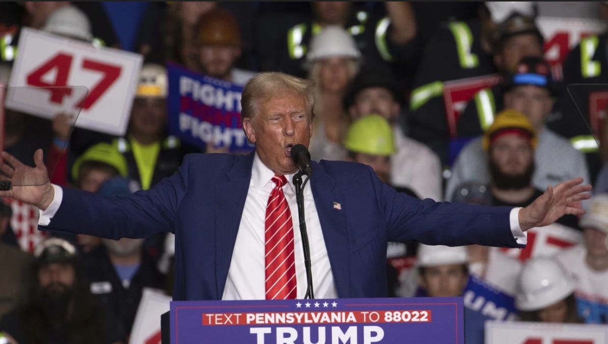 Trump Voters – Who Are They? What Do They Want?