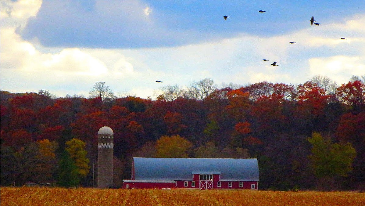 Wisconsin: What Does Middle America Want?