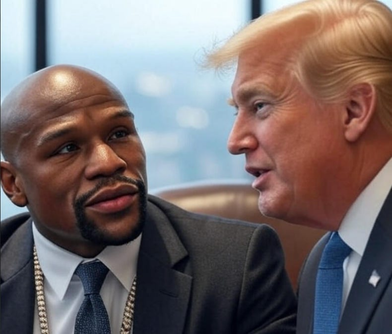 How to Mayweather Counterpunch the Democrats